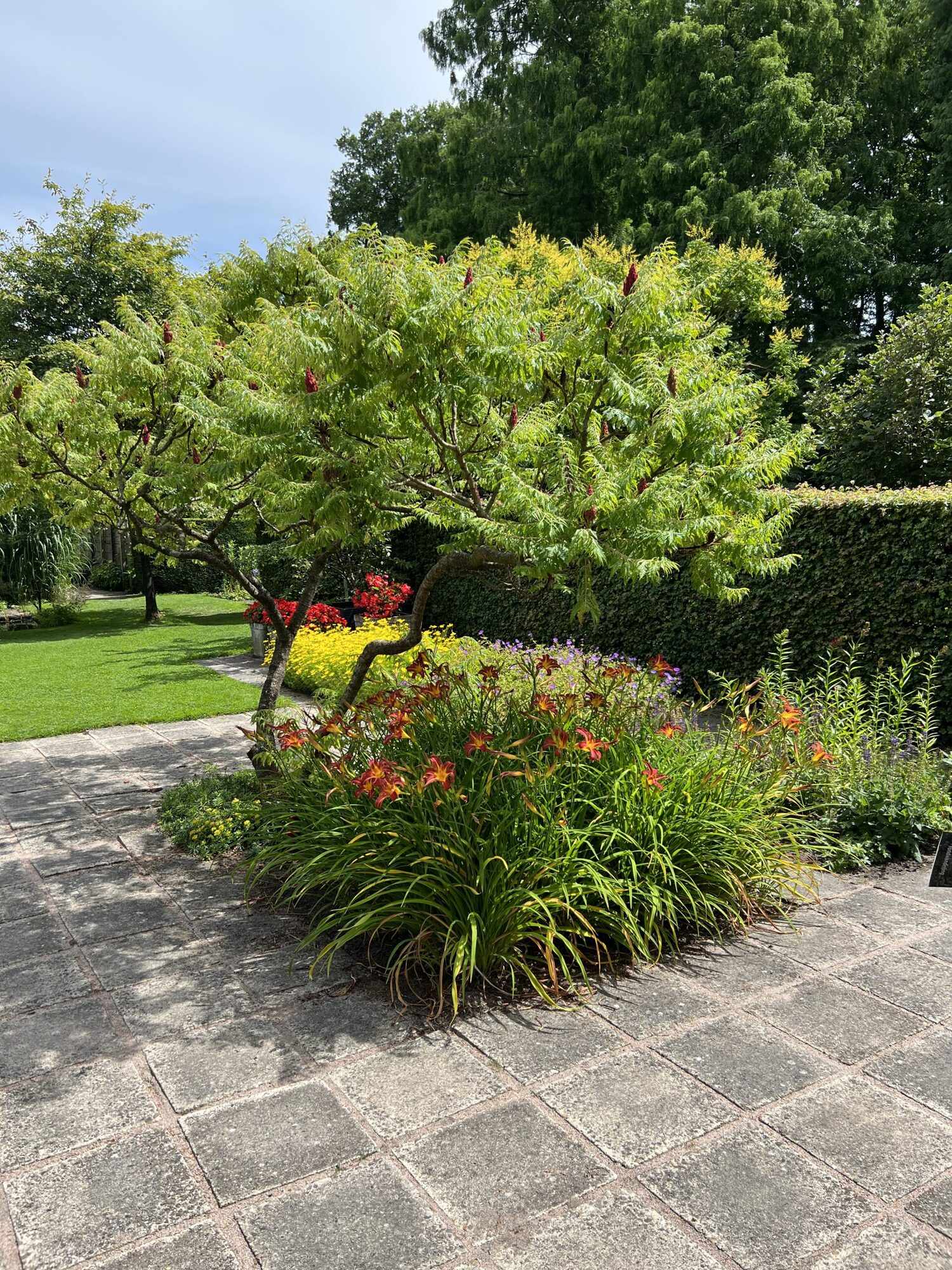 Tuin met volle borders en bloeiende vaste planten
